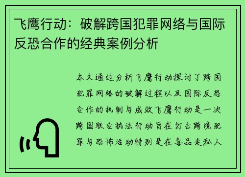 飞鹰行动：破解跨国犯罪网络与国际反恐合作的经典案例分析